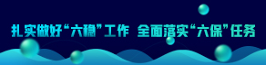 扎实做好“六稳”工作 全面落实“六保”任务